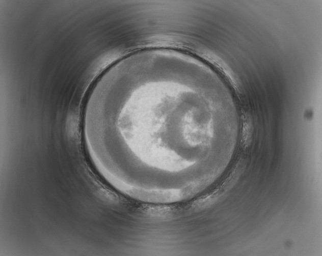 X0000116580882201001211302
