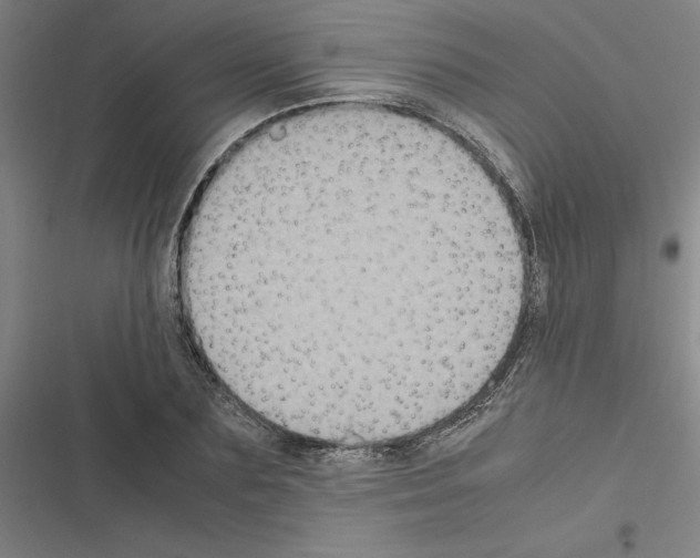 X0000116580883201001211302
