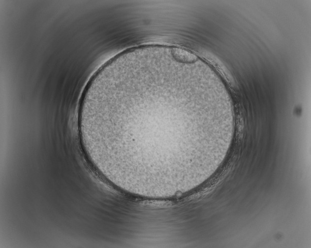 X0000116580884201001211302