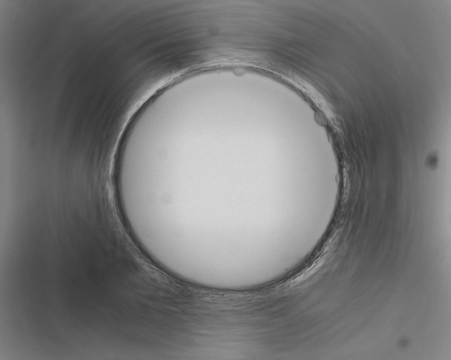 X0000116580885201001211302