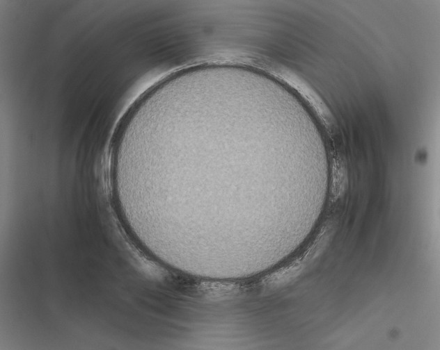 X0000116580886201001211302