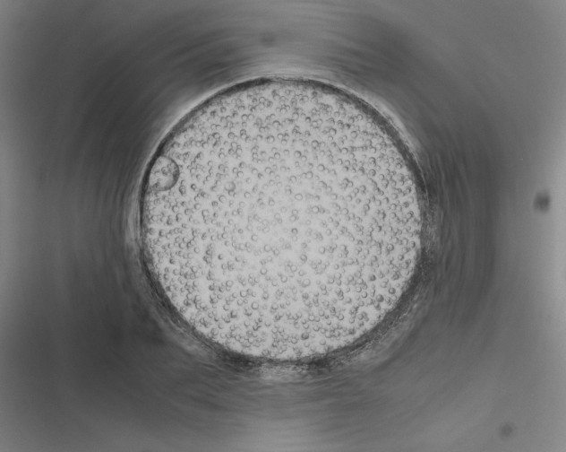 X0000116580887201001211302