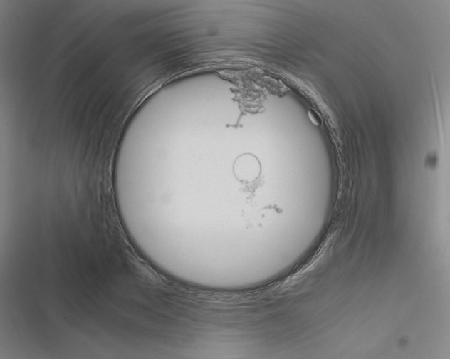 X0000116580889201001211302