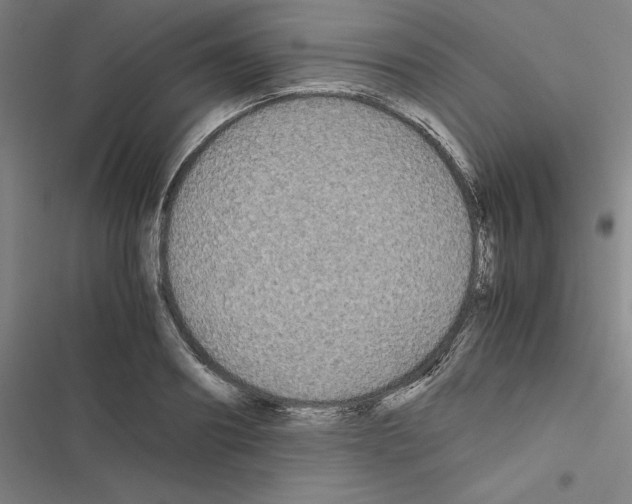 X0000116580890201001211302