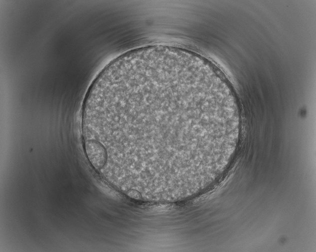X0000116580891201001211302