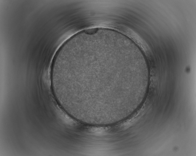 X0000116580892201001211302