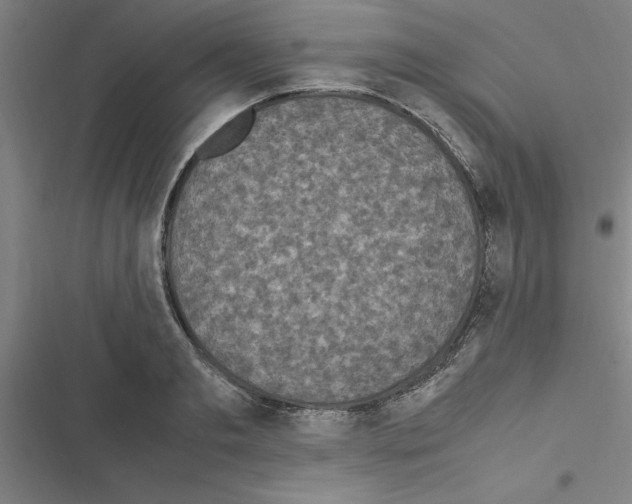 X0000116580893201001211302