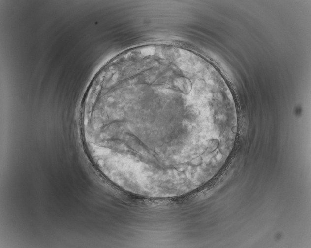 X0000116580899201001211302