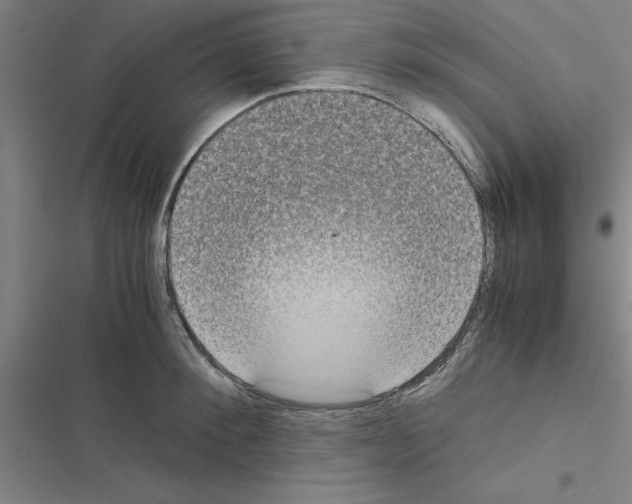 X0000116580900201001211302