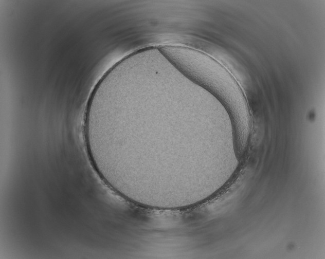 X0000116580901201001211302