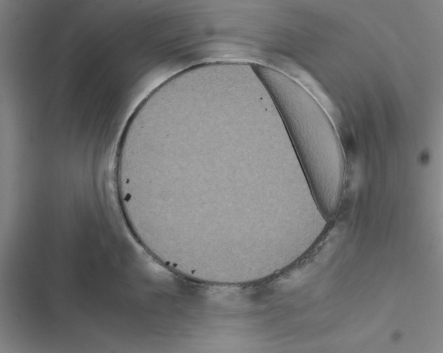 X0000116580909201001211302