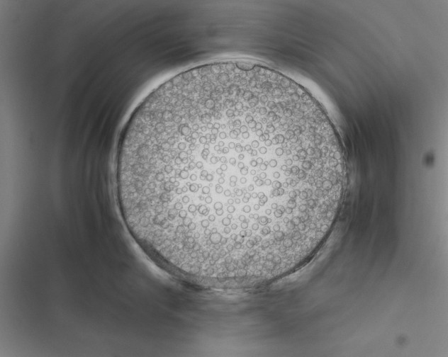 X0000116580910201001211302