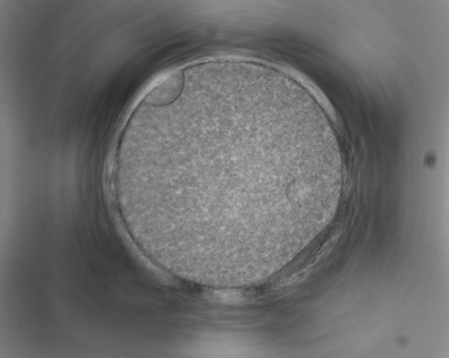 X0000116580911201001211302