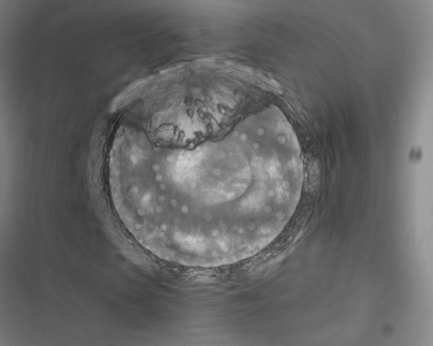 X0000116580913201001211301