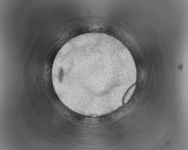 X0000116580914201001211301