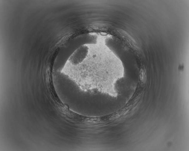 X0000116580915201001211301
