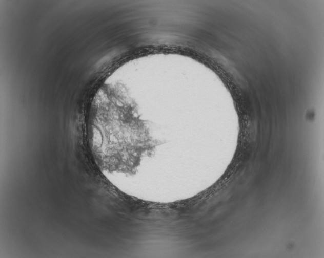 X0000116580918201001211301