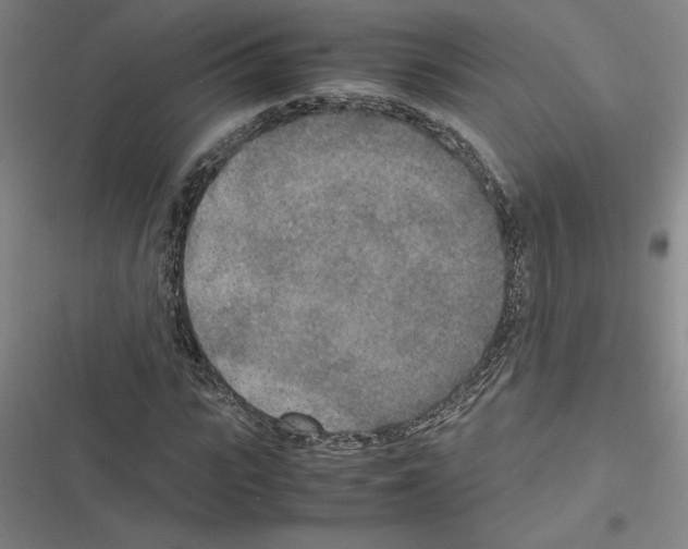 X0000116580919201001211301