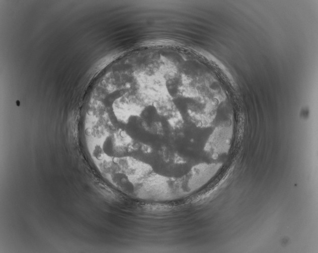 X0000116580921201001211301