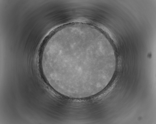 X0000116580923201001211301