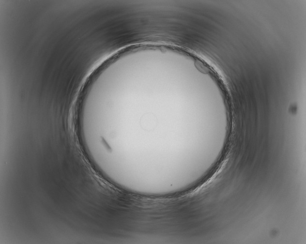 X0000116580925201001211301