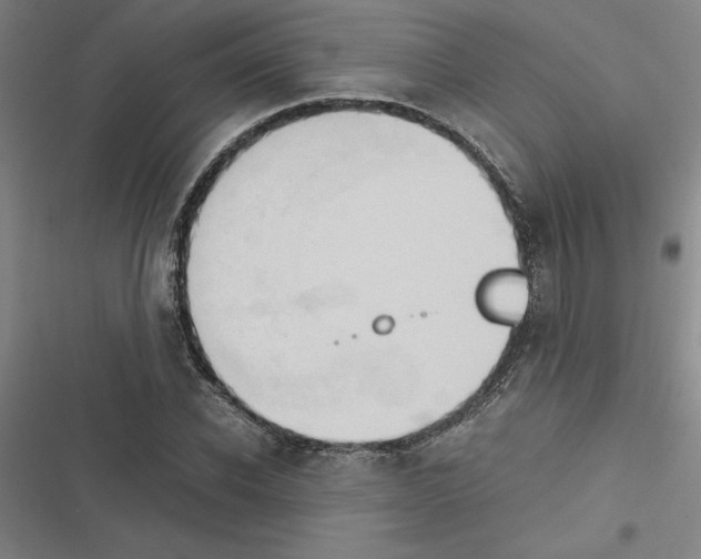 X0000116580926201001211301