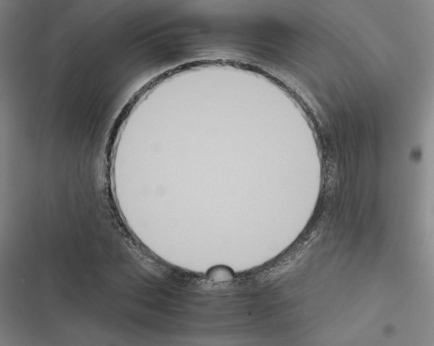 X0000116580927201001211301