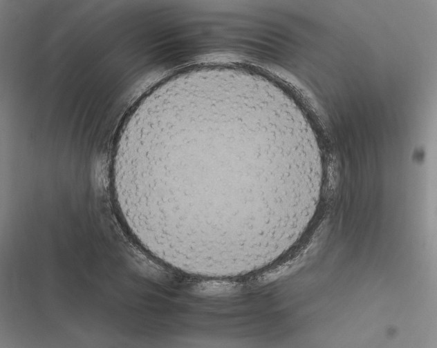 X0000116580929201001211301