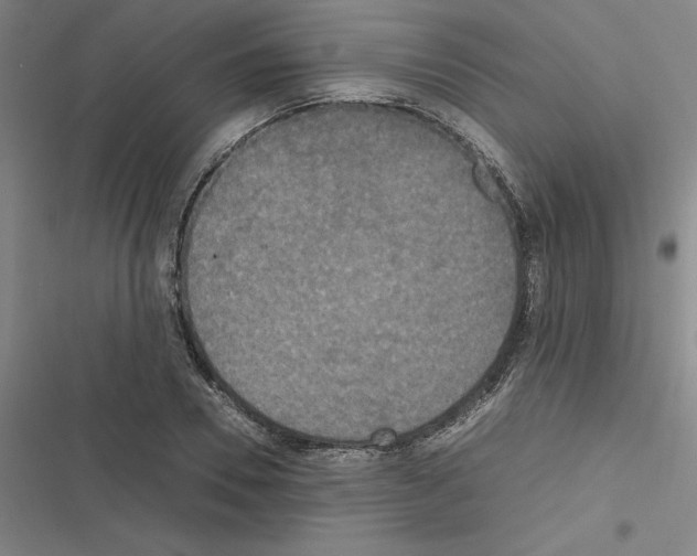 X0000116580930201001211301