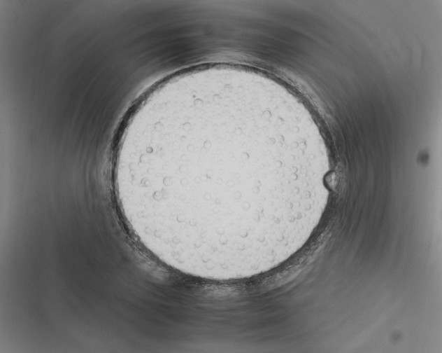 X0000116580931201001211301