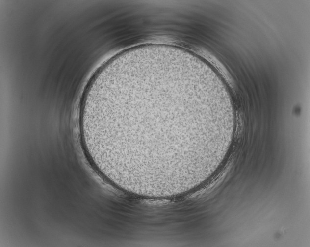 X0000116580939201001211301