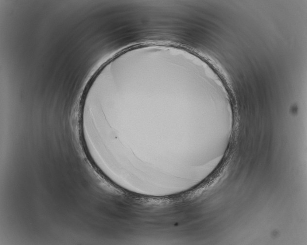 X0000116580941201001211301