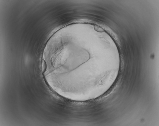X0000116580945201001211302