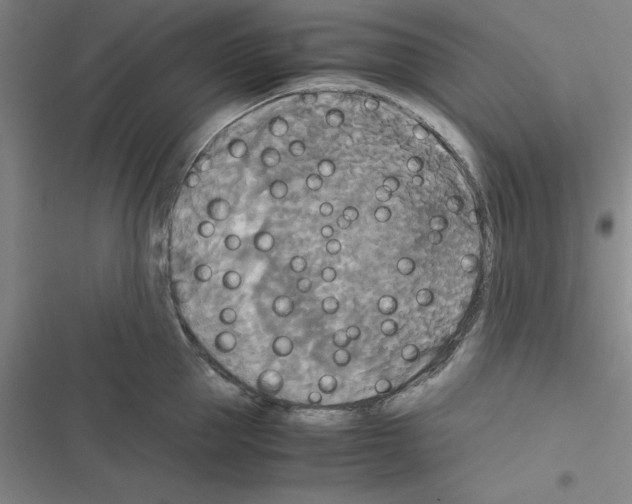 X0000116580953201001211302