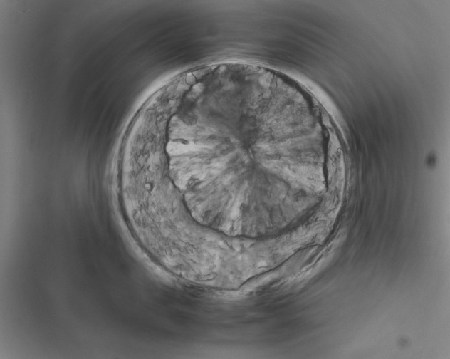 X0000116580957201001211302