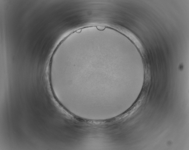 X0000116580958201001211302