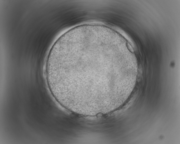 X0000116580959201001211302