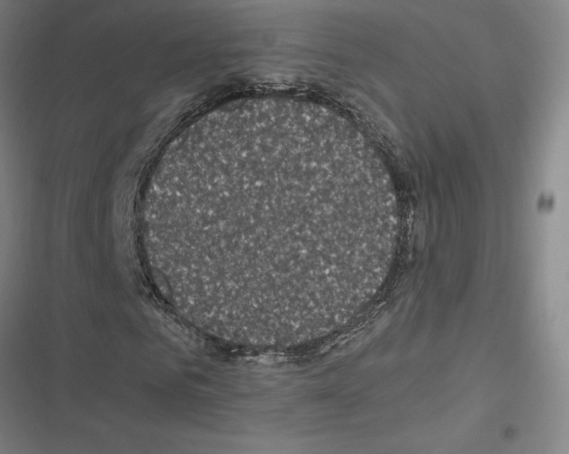 X0000116580961201001211301