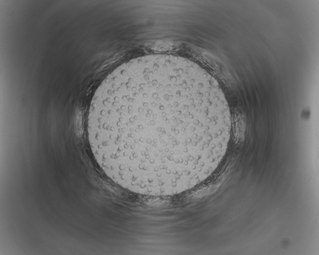 X0000116580962201001211301