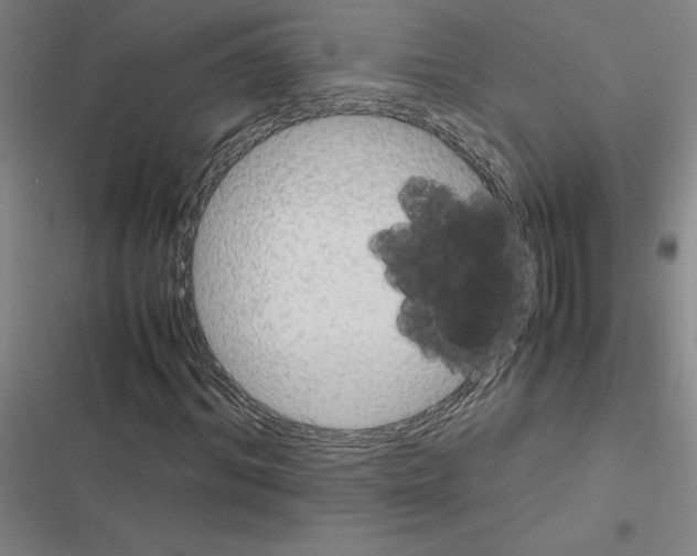 X0000116580964201001211301
