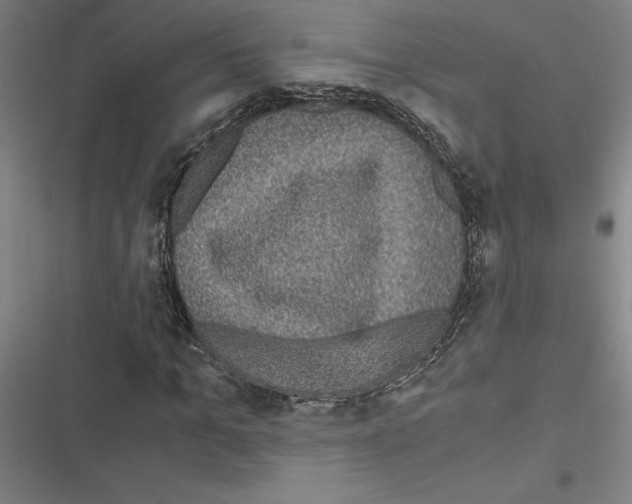 X0000116580965201001211301