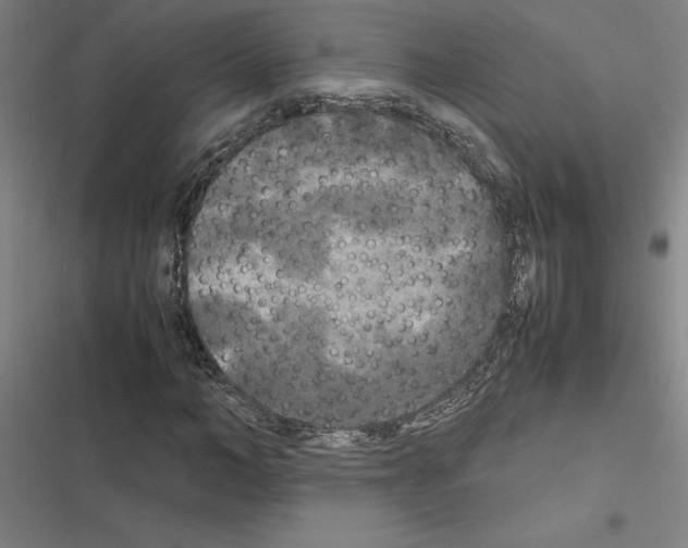 X0000116580966201001211301