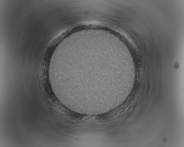 X0000116580967201001211301