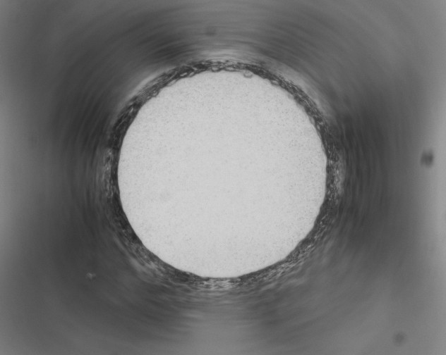 X0000116580968201001211301