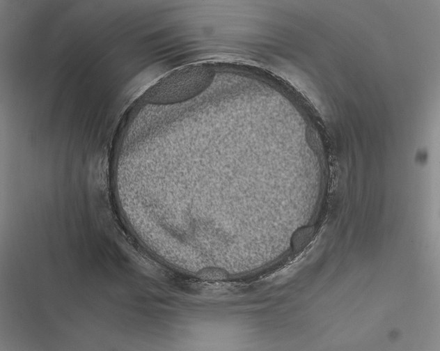 X0000116580969201001211301