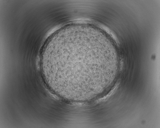 X0000116580970201001211301