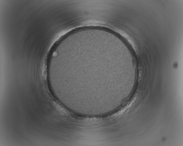 X0000116580973201001211301