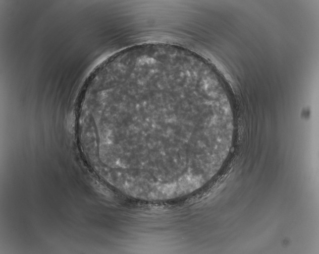 X0000116580975201001211301