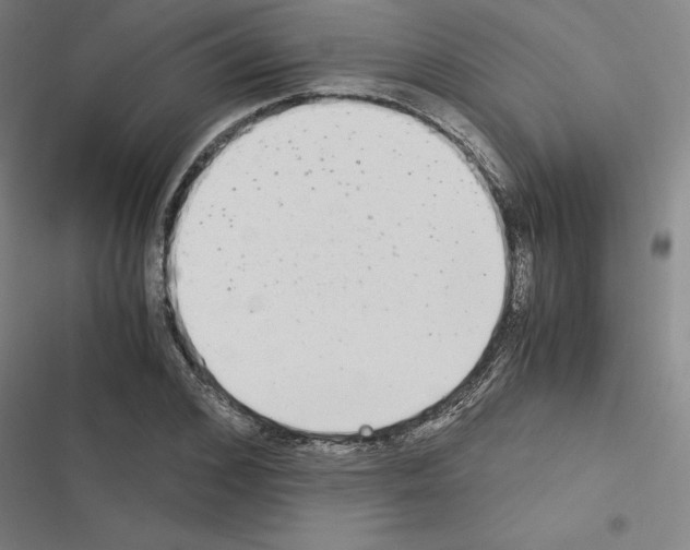 X0000116580976201001211301