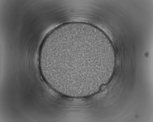 X0000116580979201001211301
